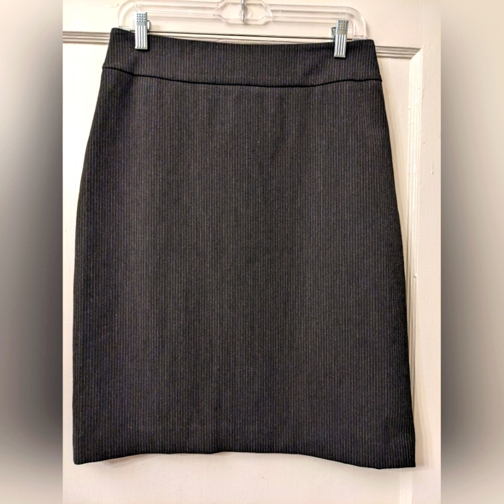 Centre Ville Paris Pinstripe Skirt Sz. 8